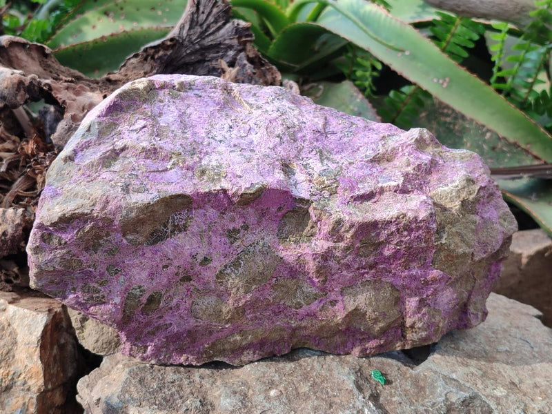 Natural XL Cobbed Stichtite Specimen x 1 From Barberton, South Africa - Toprock Gemstones and Minerals 