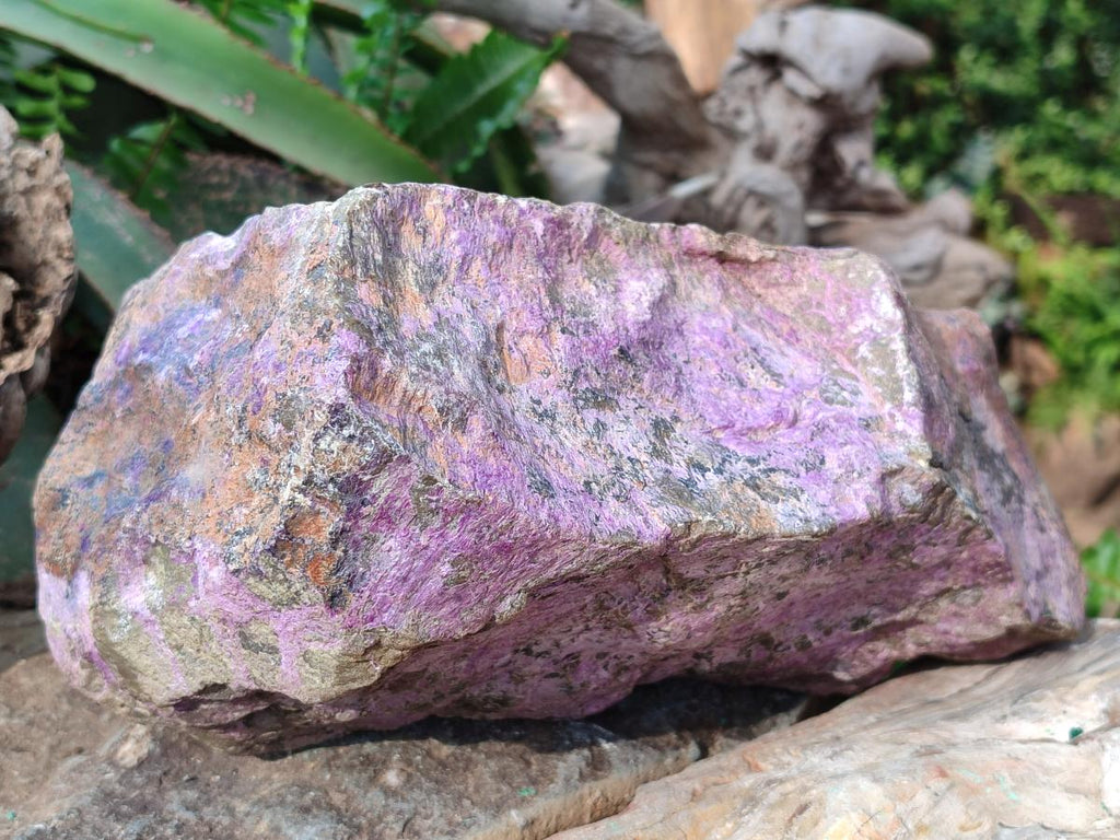 Natural XL Cobbed Stichtite Specimen x 1 From Barberton, South Africa - Toprock Gemstones and Minerals 