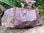 Natural XL Cobbed Stichtite Specimen x 1 From Barberton, South Africa - Toprock Gemstones and Minerals 