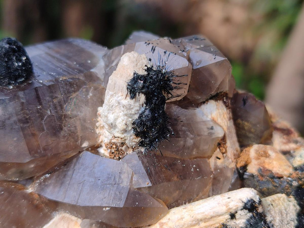 Natural Large Smokey Quartz Cluster with Associated Minerals x 1 From Erongo, Namibia - Toprock Gemstones and Minerals 