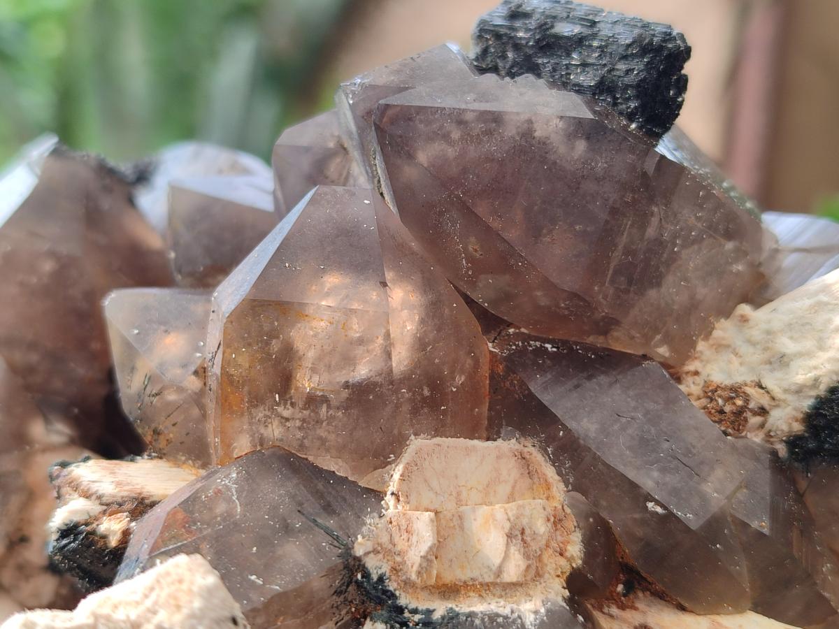 Natural Large Smokey Quartz Cluster with Associated Minerals x 1 From Erongo, Namibia - Toprock Gemstones and Minerals 