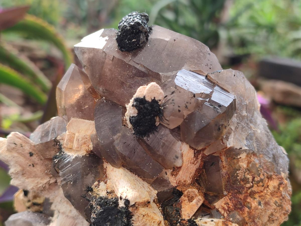 Natural Large Smokey Quartz Cluster with Associated Minerals x 1 From Erongo, Namibia - Toprock Gemstones and Minerals 