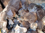 Natural Large Smokey Quartz Cluster with Associated Minerals x 1 From Erongo, Namibia - Toprock Gemstones and Minerals 