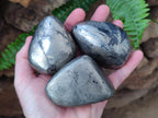 Polished Basalt Pharaoh Stone Free Forms x 4 From Iron Duke Mine, Zimbabwe - Toprock Gemstones and Minerals 