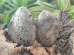 Polished Basalt Pharaoh Stone Free Forms x 4 From Iron Duke Mine, Zimbabwe - Toprock Gemstones and Minerals 