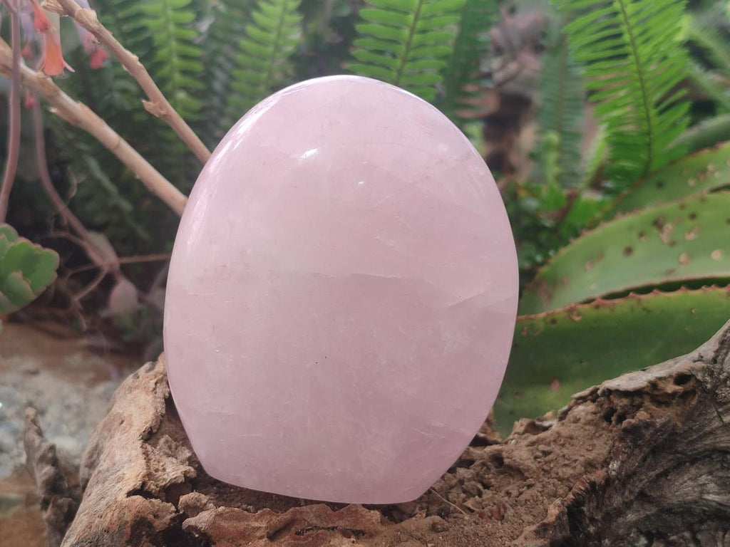 Polished Rose Quartz Standing Display Pieces x 6 From Zimbabwe - Toprock Gemstones and Minerals 