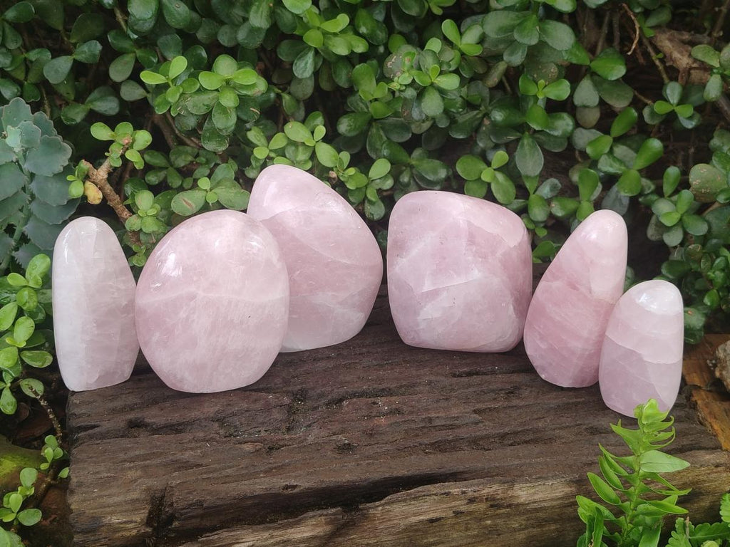 Polished Rose Quartz Standing Display Pieces x 6 From Zimbabwe - Toprock Gemstones and Minerals 