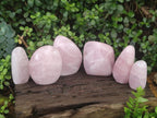 Polished Rose Quartz Standing Display Pieces x 6 From Zimbabwe - Toprock Gemstones and Minerals 