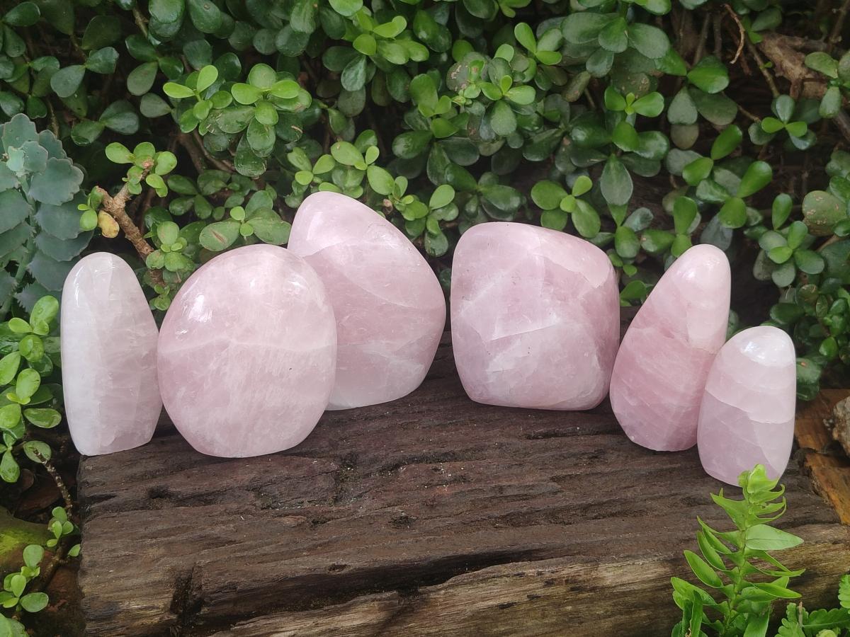 Polished Rose Quartz Standing Display Pieces x 6 From Zimbabwe - Toprock Gemstones and Minerals 
