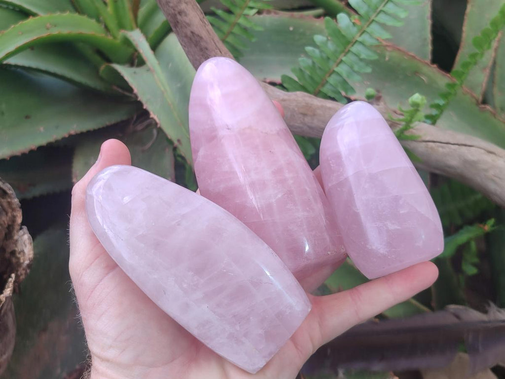 Polished Rose Quartz Standing Display Pieces x 6 From Zimbabwe - Toprock Gemstones and Minerals 
