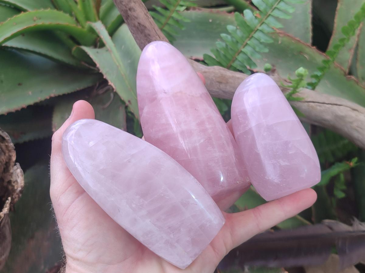 Polished Rose Quartz Standing Display Pieces x 6 From Zimbabwe - Toprock Gemstones and Minerals 