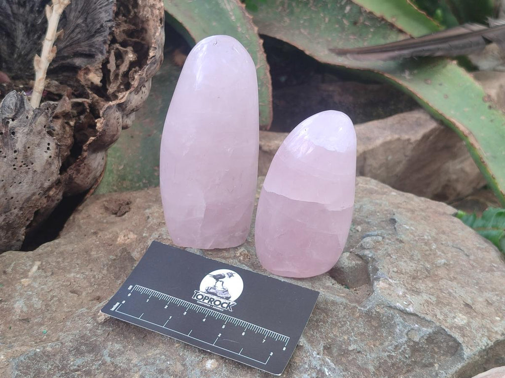 Polished Rose Quartz Standing Display Pieces x 6 From Zimbabwe - Toprock Gemstones and Minerals 