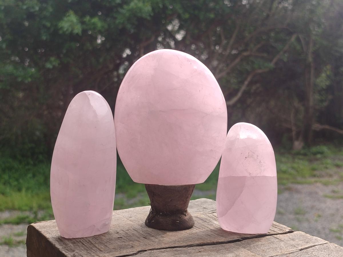Polished Rose Quartz Standing Display Pieces x 6 From Zimbabwe - Toprock Gemstones and Minerals 