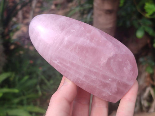 Polished Rose Quartz Standing Display Pieces x 6 From Zimbabwe - Toprock Gemstones and Minerals 