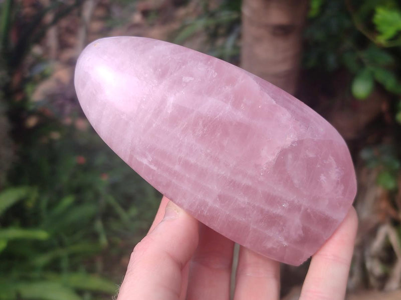 Polished Rose Quartz Standing Display Pieces x 6 From Zimbabwe - Toprock Gemstones and Minerals 