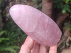 Polished Rose Quartz Standing Display Pieces x 6 From Zimbabwe - Toprock Gemstones and Minerals 