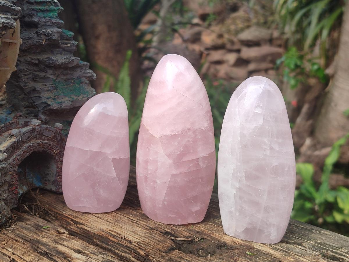 Polished Rose Quartz Standing Display Pieces x 6 From Zimbabwe - Toprock Gemstones and Minerals 