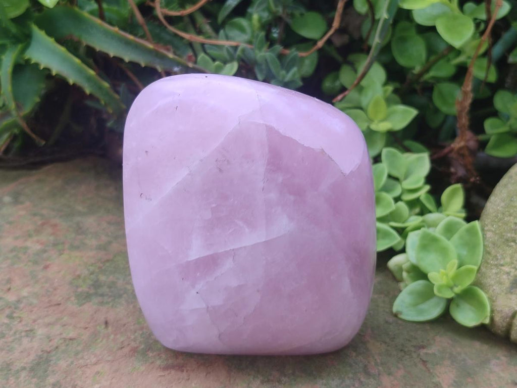 Polished Rose Quartz Standing Display Pieces x 6 From Zimbabwe - Toprock Gemstones and Minerals 