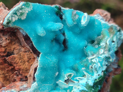 Natural Cabinet Size Rare Drusy Coated Chrysocolla Specimens with Malachite After Azurite x 2 From Lupoto Mine, Congo - Toprock Gemstones and Minerals 
