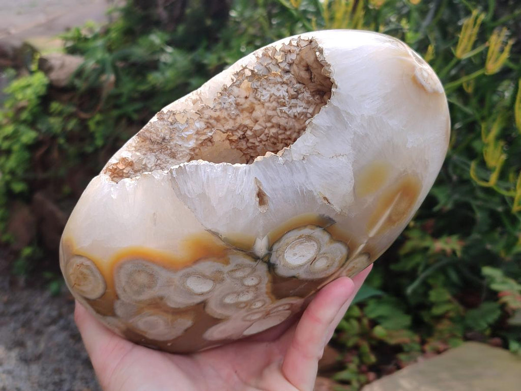 Polished and Natural Large Coral Flower Agate Geode x 1 From Antsahalova, Madagascar - Toprock Gemstones and Minerals 