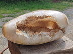 Polished and Natural Large Coral Flower Agate Geode x 1 From Antsahalova, Madagascar - Toprock Gemstones and Minerals 