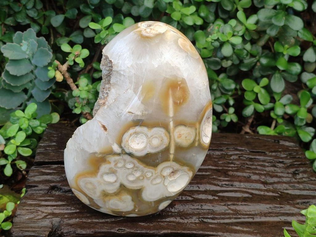Polished and Natural Large Coral Flower Agate Geode x 1 From Antsahalova, Madagascar - Toprock Gemstones and Minerals 