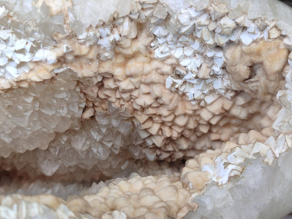 Polished and Natural Large Coral Flower Agate Geode x 1 From Antsahalova, Madagascar - Toprock Gemstones and Minerals 