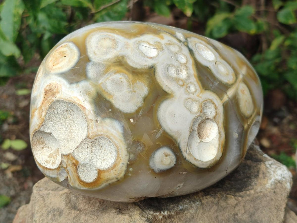 Polished and Natural Large Coral Flower Agate Geode x 1 From Antsahalova, Madagascar - Toprock Gemstones and Minerals 