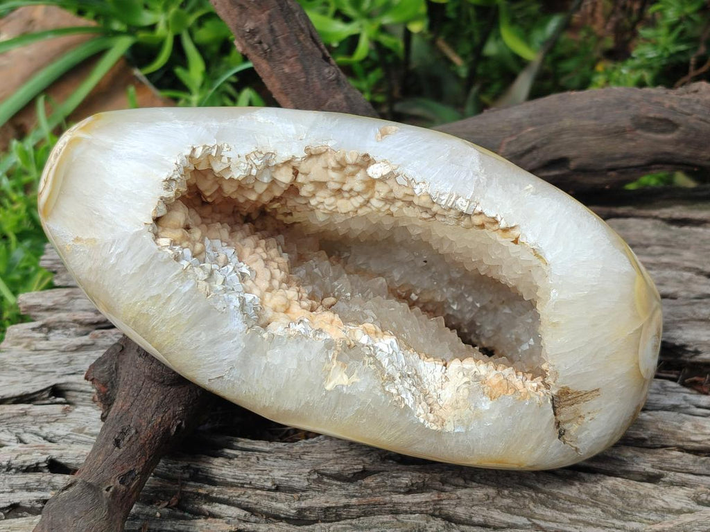 Polished and Natural Large Coral Flower Agate Geode x 1 From Antsahalova, Madagascar - Toprock Gemstones and Minerals 