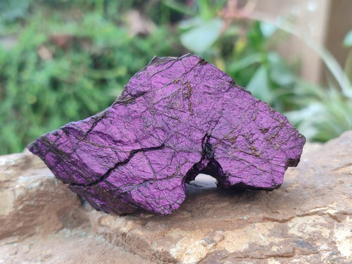 Natural Metallic Cobbed Purpurite Specimens x 13 From Erongo, Namibia - Toprock Gemstones and Minerals 