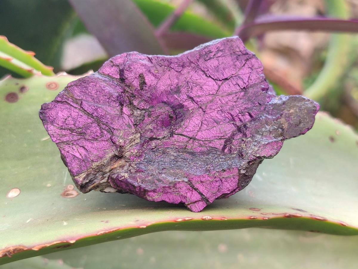 Natural Metallic Cobbed Purpurite Specimens x 13 From Erongo, Namibia - Toprock Gemstones and Minerals 