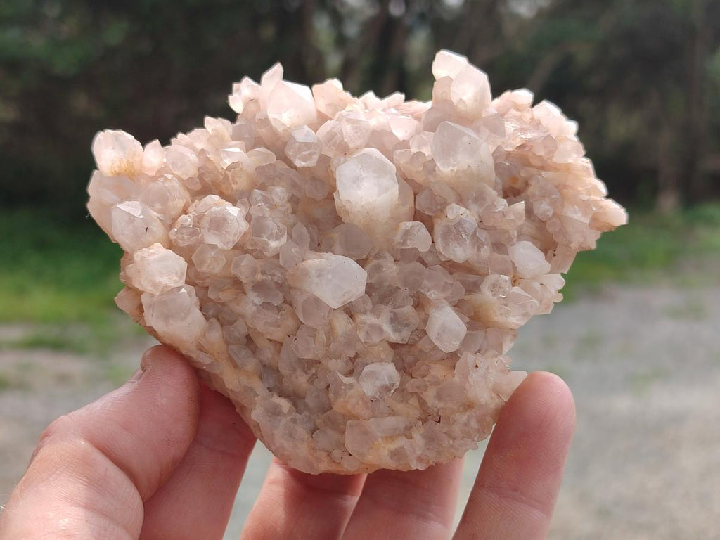 Natural Mix of Malagasy Quartz Clusters x 12 From Madagascar - Toprock Gemstones and Minerals 