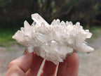 Natural Mix of Malagasy Quartz Clusters x 12 From Madagascar - Toprock Gemstones and Minerals 