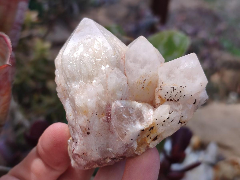 Natural Mix of Malagasy Quartz Clusters x 12 From Madagascar - Toprock Gemstones and Minerals 