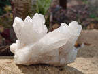 Natural Mix of Malagasy Quartz Clusters x 12 From Madagascar - Toprock Gemstones and Minerals 