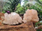 Natural Mix of Malagasy Quartz Clusters x 12 From Madagascar - Toprock Gemstones and Minerals 