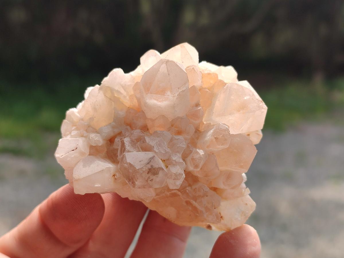 Natural Mix of Malagasy Quartz Clusters x 12 From Madagascar - Toprock Gemstones and Minerals 