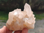 Natural Mix of Malagasy Quartz Clusters x 12 From Madagascar - Toprock Gemstones and Minerals 
