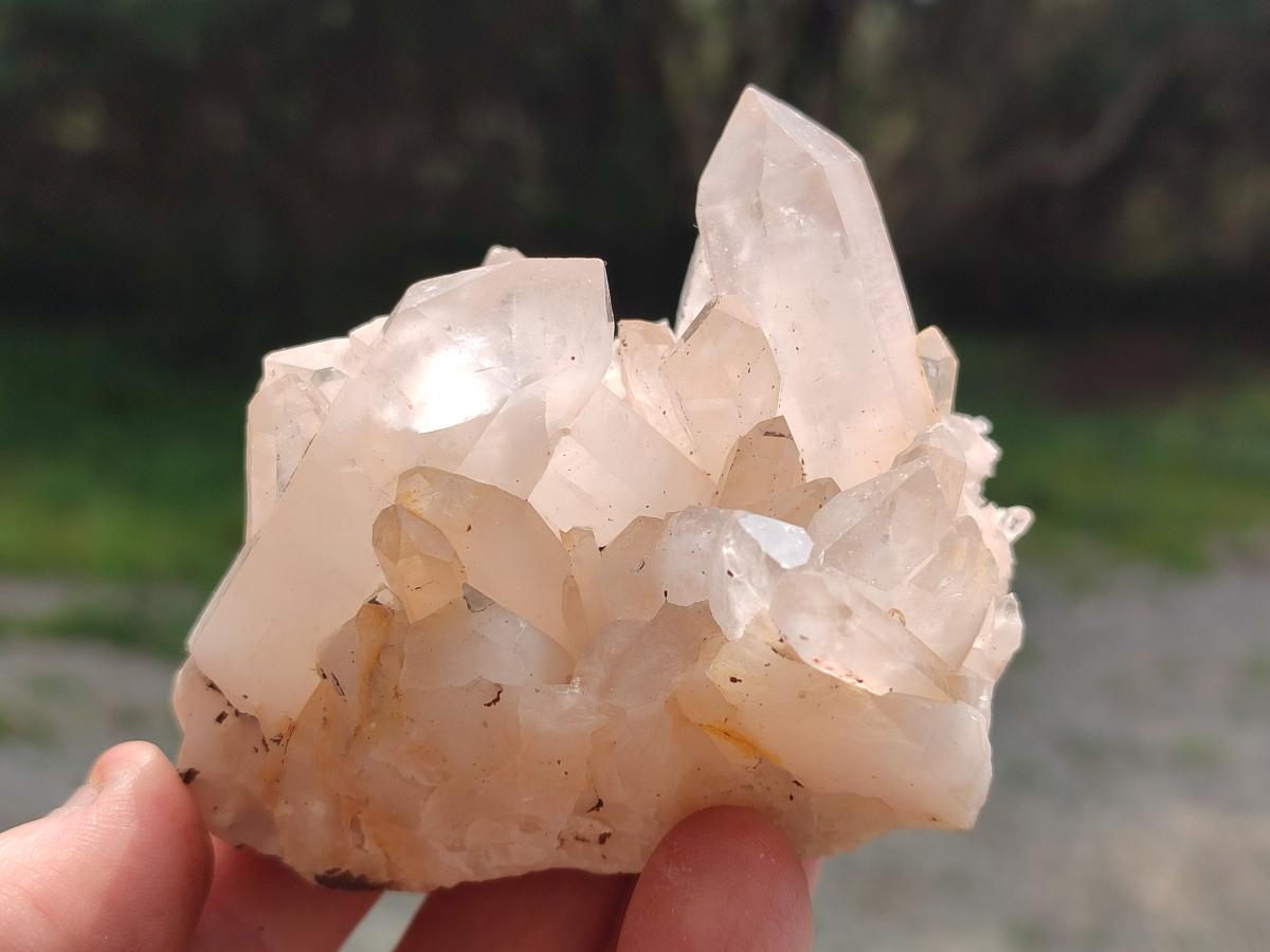 Natural Mix of Malagasy Quartz Clusters x 12 From Madagascar - Toprock Gemstones and Minerals 