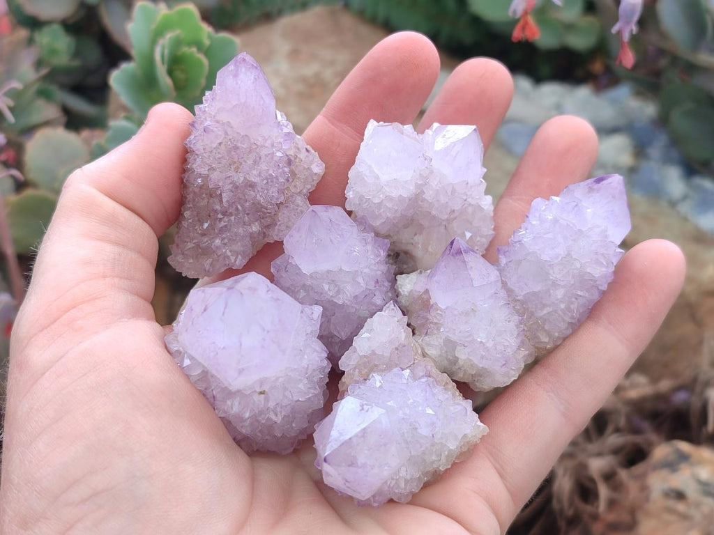 Natural Spirit Amethyst Crystals x 24 From Boekenhouthoek, South Africa - Toprock Gemstones and Minerals 