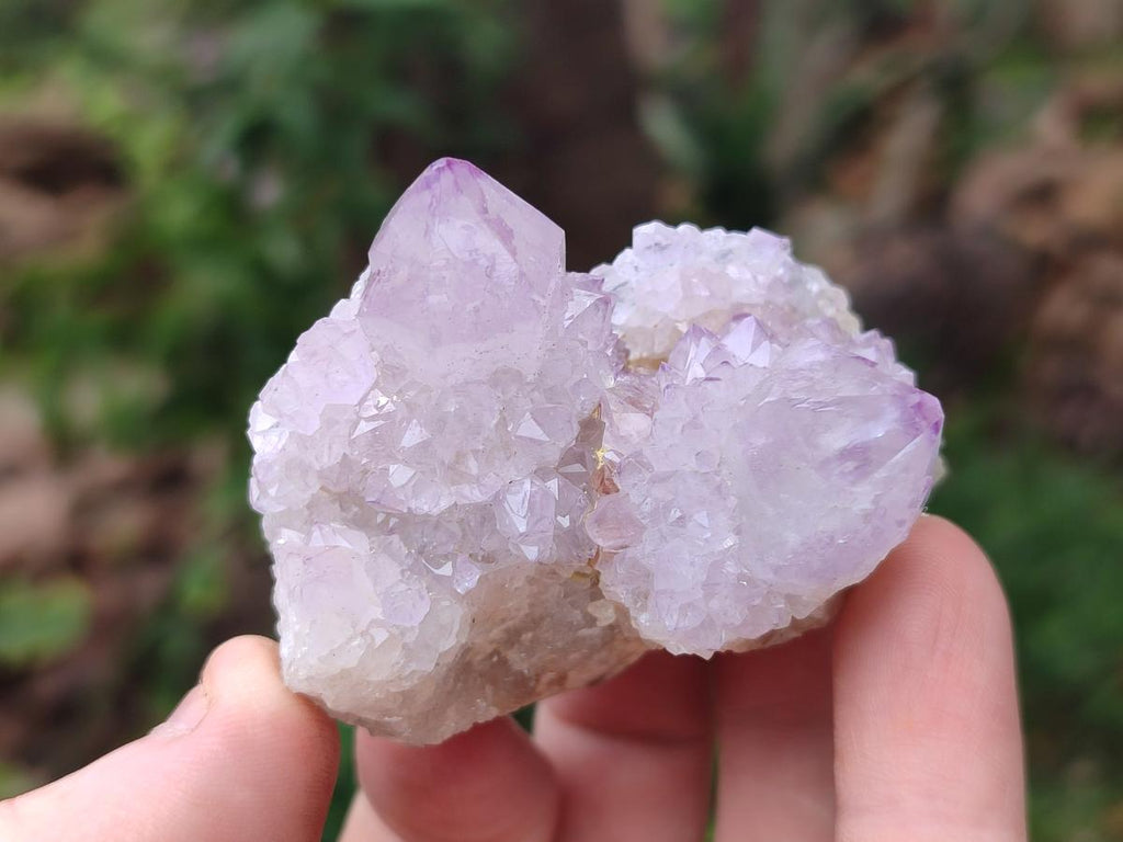 Natural Spirit Amethyst Crystals x 24 From Boekenhouthoek, South Africa - Toprock Gemstones and Minerals 