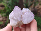 Natural Spirit Amethyst Crystals x 24 From Boekenhouthoek, South Africa - Toprock Gemstones and Minerals 