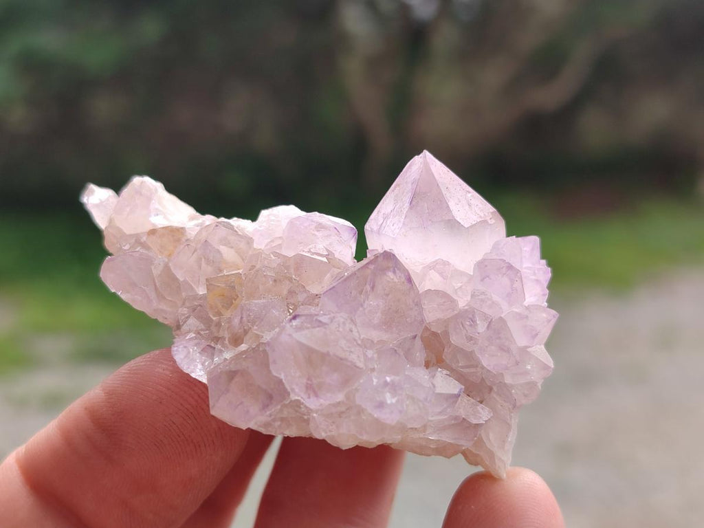 Natural Spirit Amethyst Crystals x 24 From Boekenhouthoek, South Africa - Toprock Gemstones and Minerals 