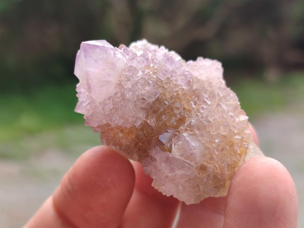 Natural Spirit Amethyst Crystals x 24 From Boekenhouthoek, South Africa - Toprock Gemstones and Minerals 