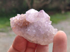 Natural Spirit Amethyst Crystals x 24 From Boekenhouthoek, South Africa - Toprock Gemstones and Minerals 