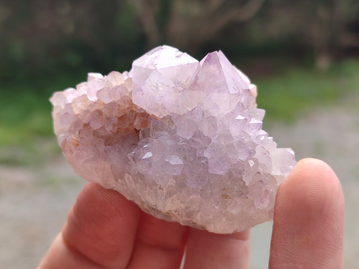 Natural Spirit Amethyst Crystals x 24 From Boekenhouthoek, South Africa - Toprock Gemstones and Minerals 