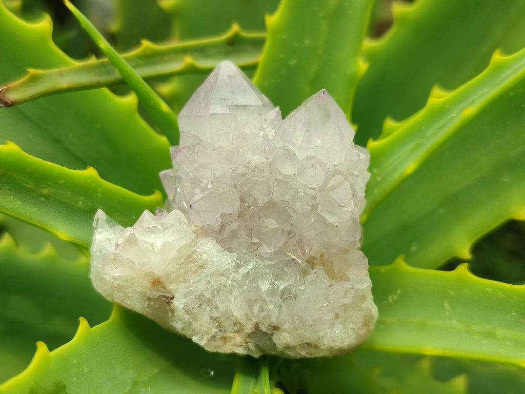 Natural Spirit Amethyst Crystals x 24 From Boekenhouthoek, South Africa - Toprock Gemstones and Minerals 