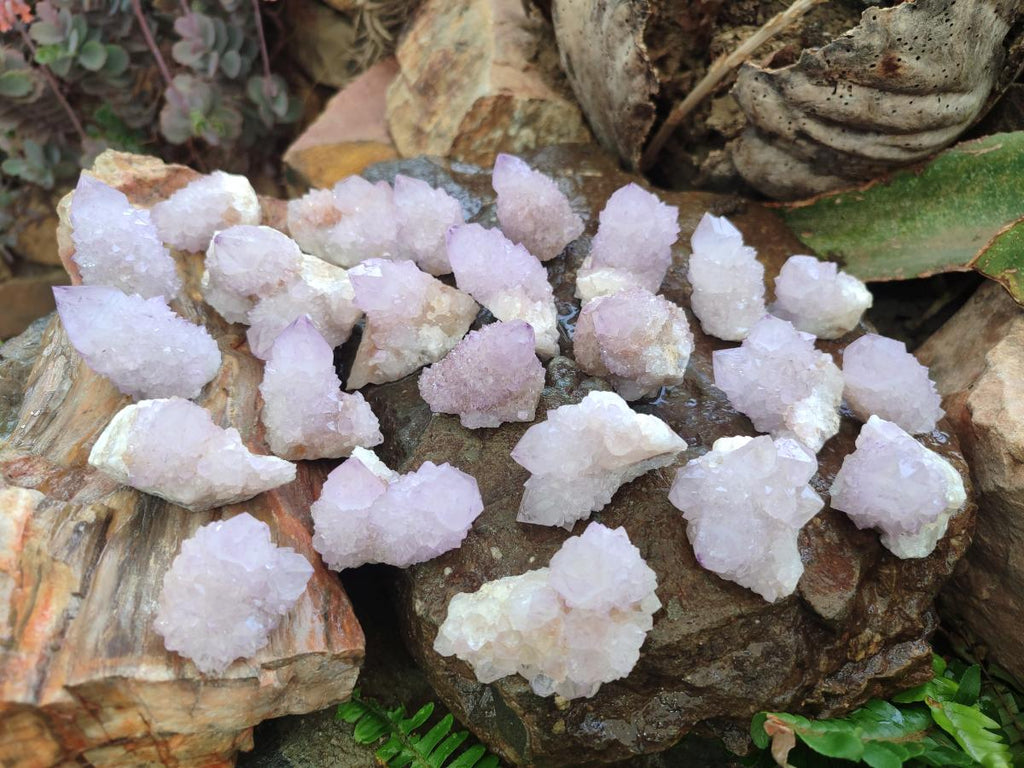 Natural Spirit Amethyst Crystals x 24 From Boekenhouthoek, South Africa - Toprock Gemstones and Minerals 