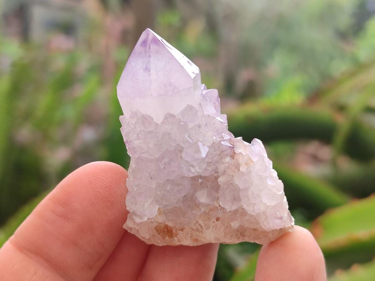 Natural Spirit Amethyst Crystals x 24 From Boekenhouthoek, South Africa - Toprock Gemstones and Minerals 