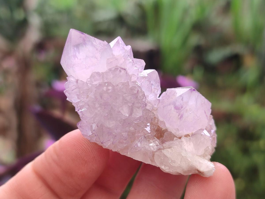 Natural Spirit Amethyst Crystals x 24 From Boekenhouthoek, South Africa - Toprock Gemstones and Minerals 